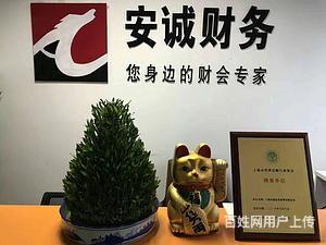 杨浦区审计验资、注销变更与财务咨询，专业服务找安诚财务王会计